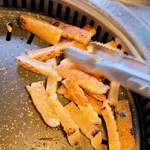 모티 사진