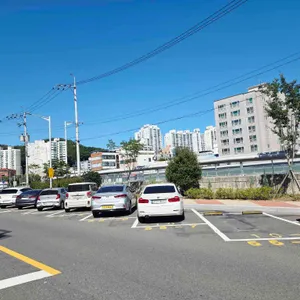 콜프로스터스 리뷰 사진