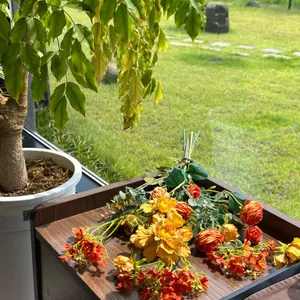 테누토 리뷰 사진