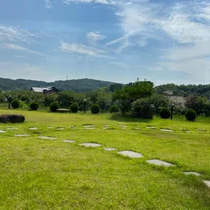 테누토 리뷰 사진