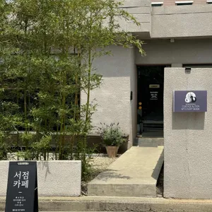 검은고양이 사진 1