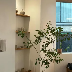 바나나하루키 리뷰 사진