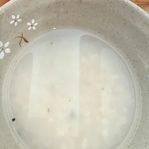 해오라기 사진