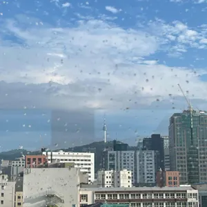 텅 사진 2