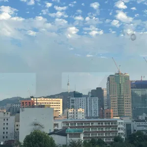 텅 리뷰 사진