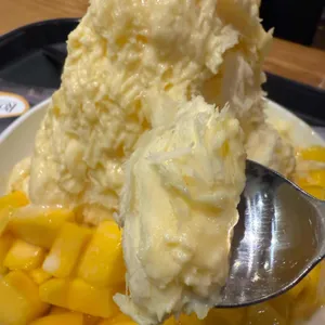 로이즈 사진