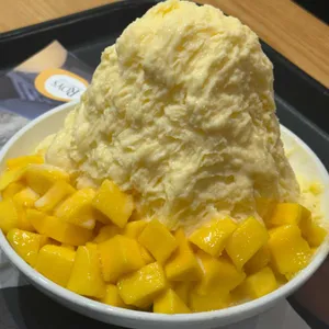 로이즈 사진