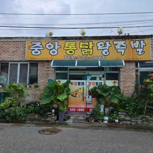 중앙통닭 사진