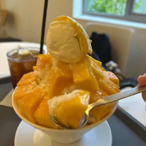 쁘띠트 사진