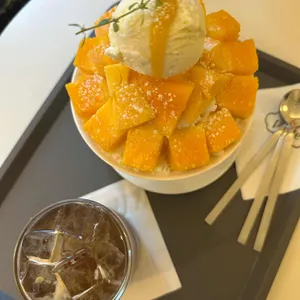 쁘띠트 사진