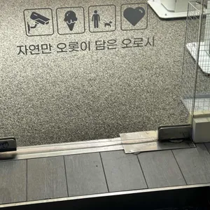 오로시젤라또 리뷰 사진