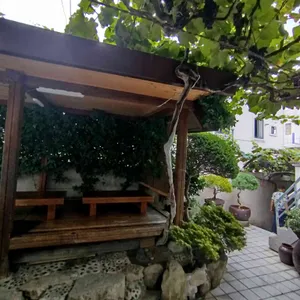 광신보리밥 사진 2