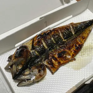 털보고된이 대표 사진