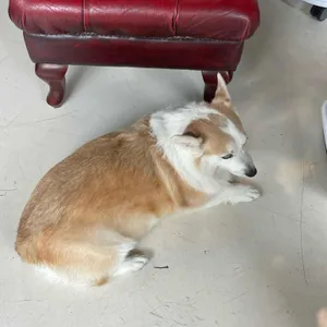 브릭스퀘어 리뷰 사진