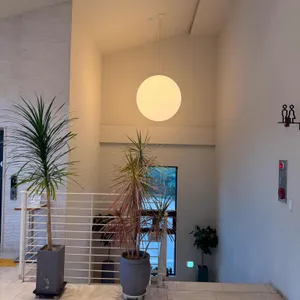 팥티오 리뷰 사진