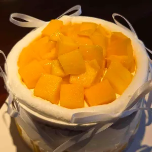 프레젠트 대표 사진