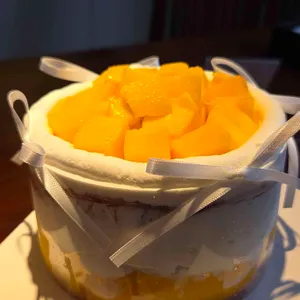 프레젠트 대표 사진