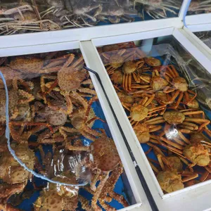 돌고래횟집 리뷰 사진