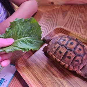 작은연못 사진