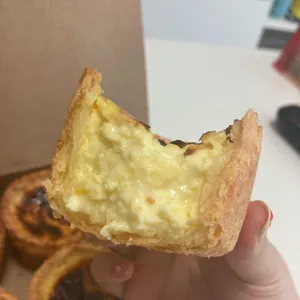 인비토 사진