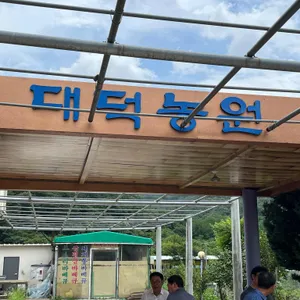 대덕농원 사진 1