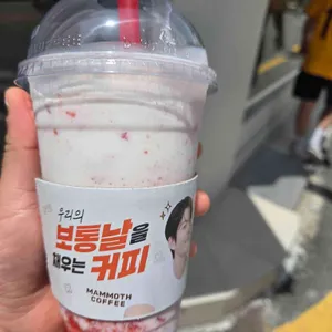 매머드익스프레스 리뷰 사진