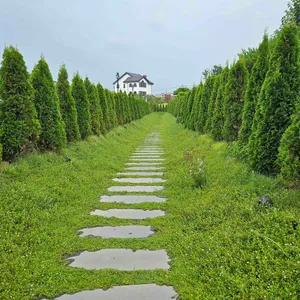 카페더비 리뷰 사진