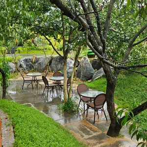 카페더비 리뷰 사진