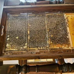 카페더비 리뷰 사진