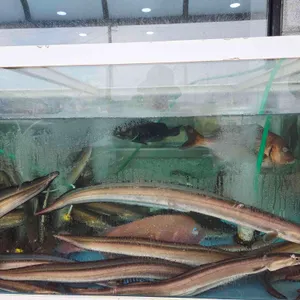 비진도횟집 리뷰 사진