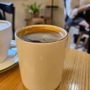 몽테드 사진