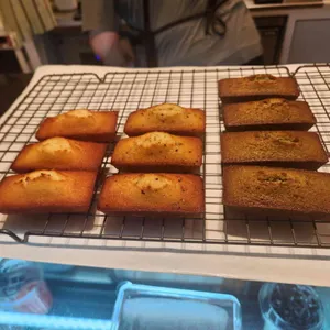 카모 사진