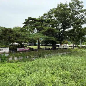 오늘제빵소 리뷰 사진