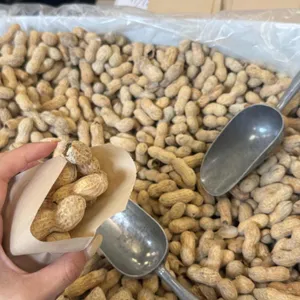 파이브가이즈 사진
