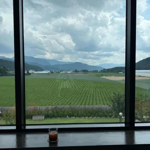 뜰 리뷰 사진