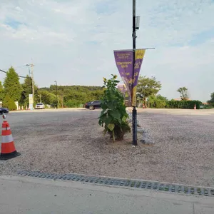 오페라 디바스 리뷰 사진
