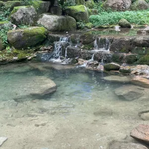 미림산장 리뷰 사진