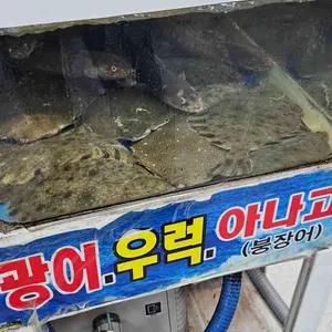 영남횟집 리뷰 사진