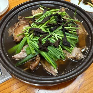 참일능이 사진