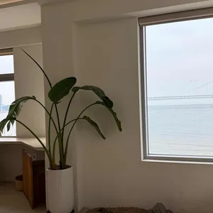 컵앤컵 사진 2