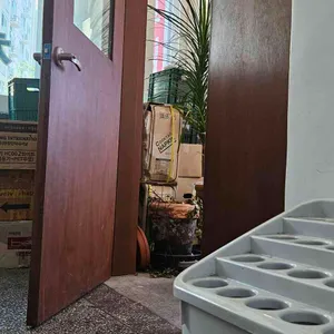 노버든 리뷰 사진