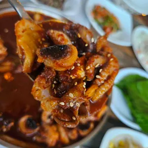 봄이오듯 사진