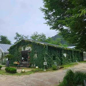 플로레 사진 2