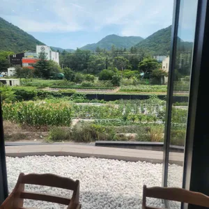 스타벅스 리뷰 사진