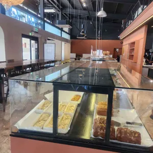 마고플레인 사진