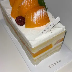 쇼토 사진