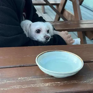 물담물회국수 사진