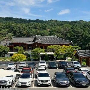 더포레스트 퀸 사진 1