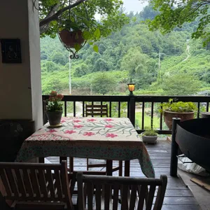 릴리 사진