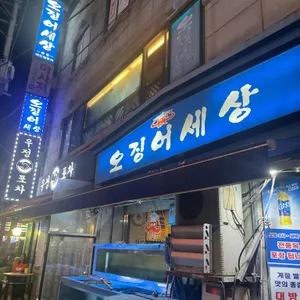오징어 세상 사진 2